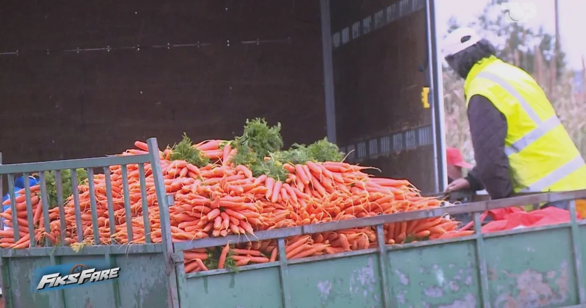  Lufta në Iran  këta rritën çmimet   fermerët denoncojnë rritjen artificiale të inputeve bujqësore