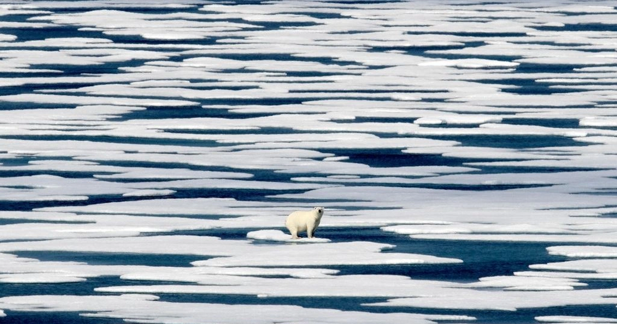Shkrirja e akullit në detin Arktik arrin nivelin më të ulët në 48 vjet