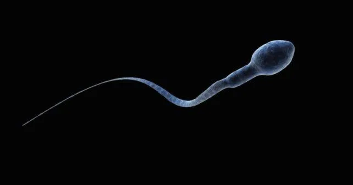 Riprodhimi njerëzor në hapësirë  Sfida dhe zgjidhje inovative