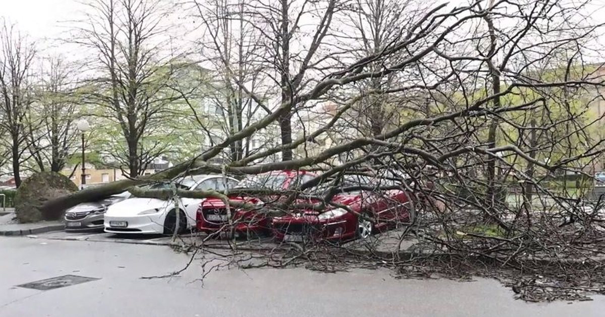 Rikthehet dimri në Ballkan  moti i keq mbërthen rajonin