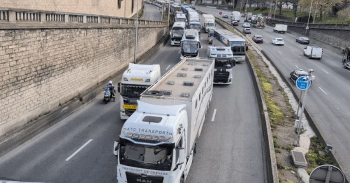 VIDEO  Rritja e çmimit të naftës  shoferët bllokojnë rrugët me protesta