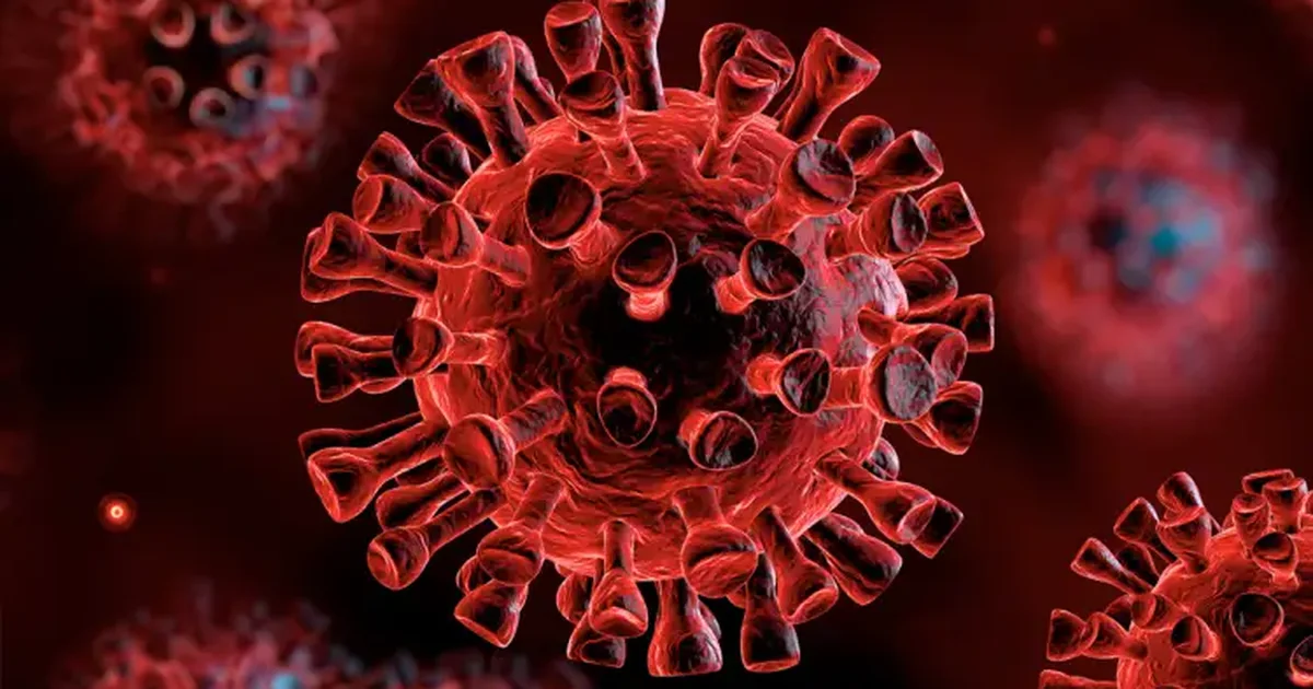  Cicada  rikthen alarmin global  Nënvarianti i ri i COVID 19 përhapet në mbi 20 vende