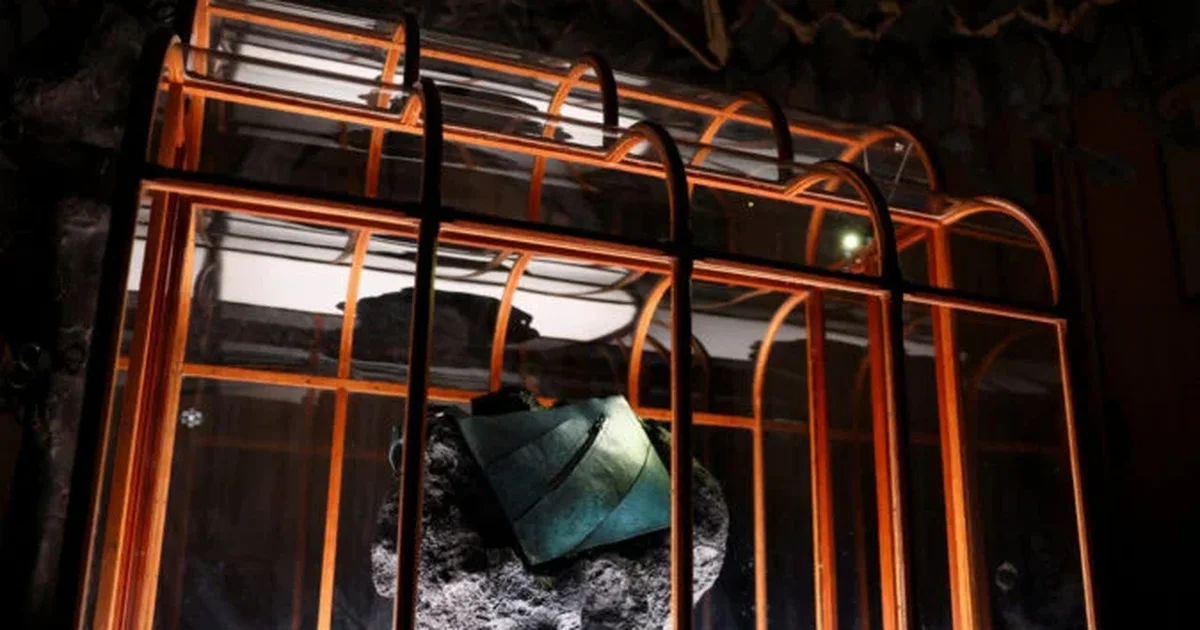 Çanta luksoze nga ADN e dinosaurëve del në ankand me çmim marramendës