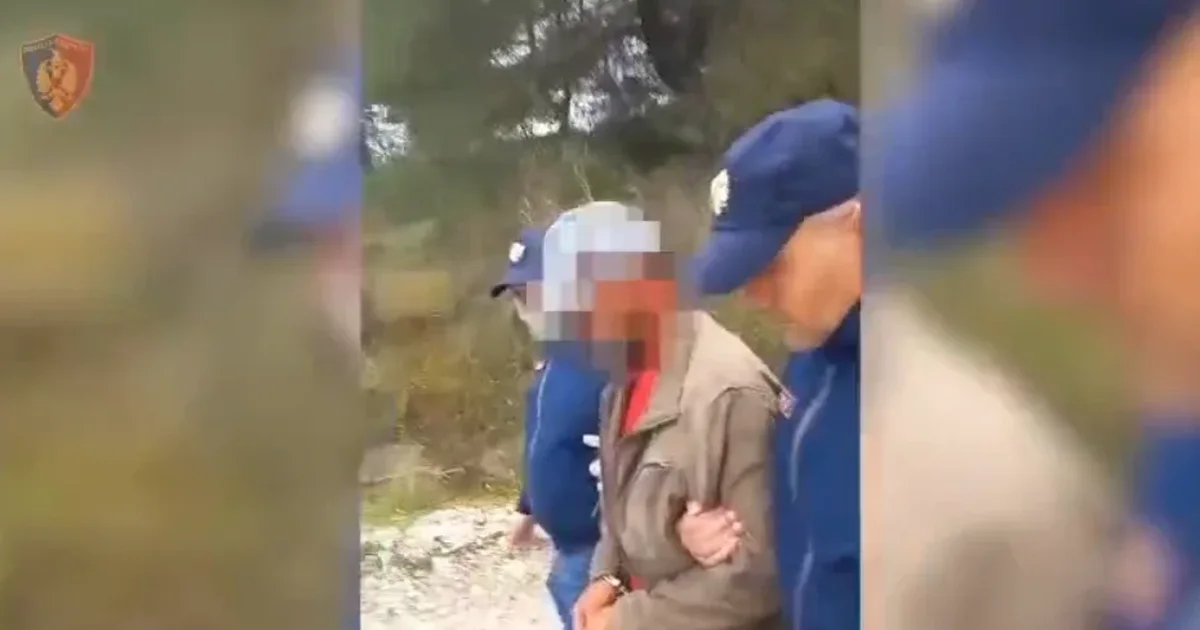 Ishte zënë me vëllanë dhe mbante pushkë me vete  arrestohet i riu në Vlorë