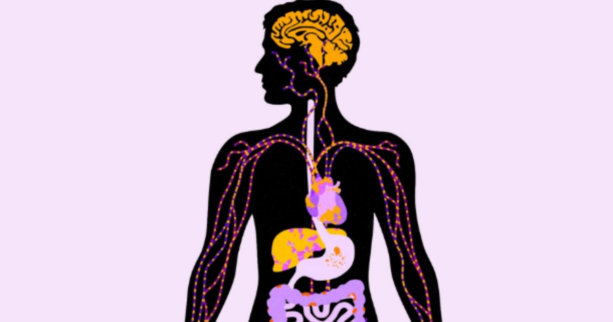 HABIT studimi  konsumi i tepërt i sheqerit po dëmton organet jetike 