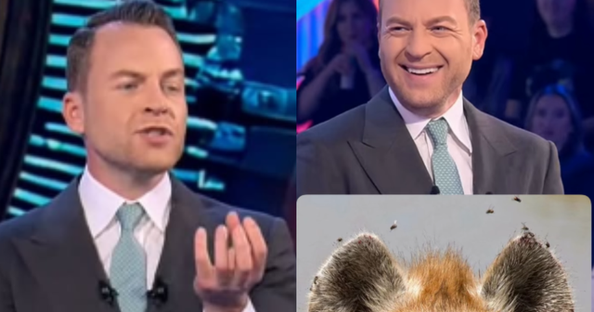 Ish banori i BBV shpërthen ndaj Ledionit dhe e krahason me një hijenë por pse    FOTO 