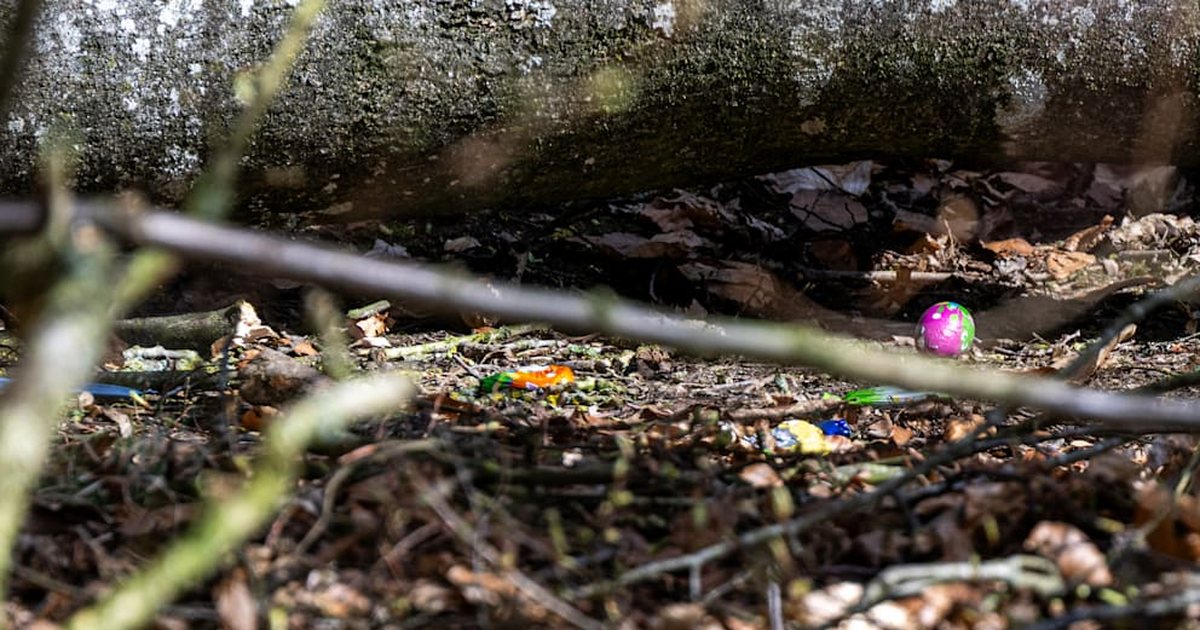 Tragjedi në festën e Pashkëve në Gjermani  Pema rrëzohet nga era e fortë  raportohet për 3 viktima