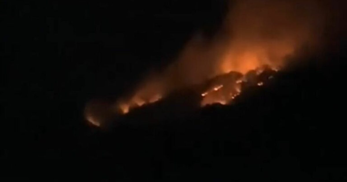 Flakë në malin e Koshnicës në Gramsh  ndërhyrja e zjarrfikësve e pamundur për shkak të terrenit të vështirë