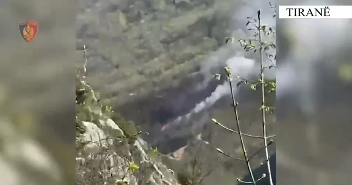 Ndezi zjarr në Parkun Kombëtar të Dajtit duke rrezikuar djegien e pyjeve  arrestohet 62 vjeçari