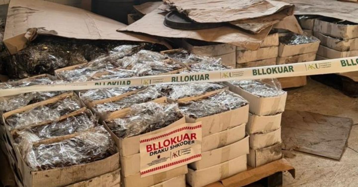 Mungonin kushtet higjeno sanitare  bllokohen mbi 110 ton fruta perime në Shkodër