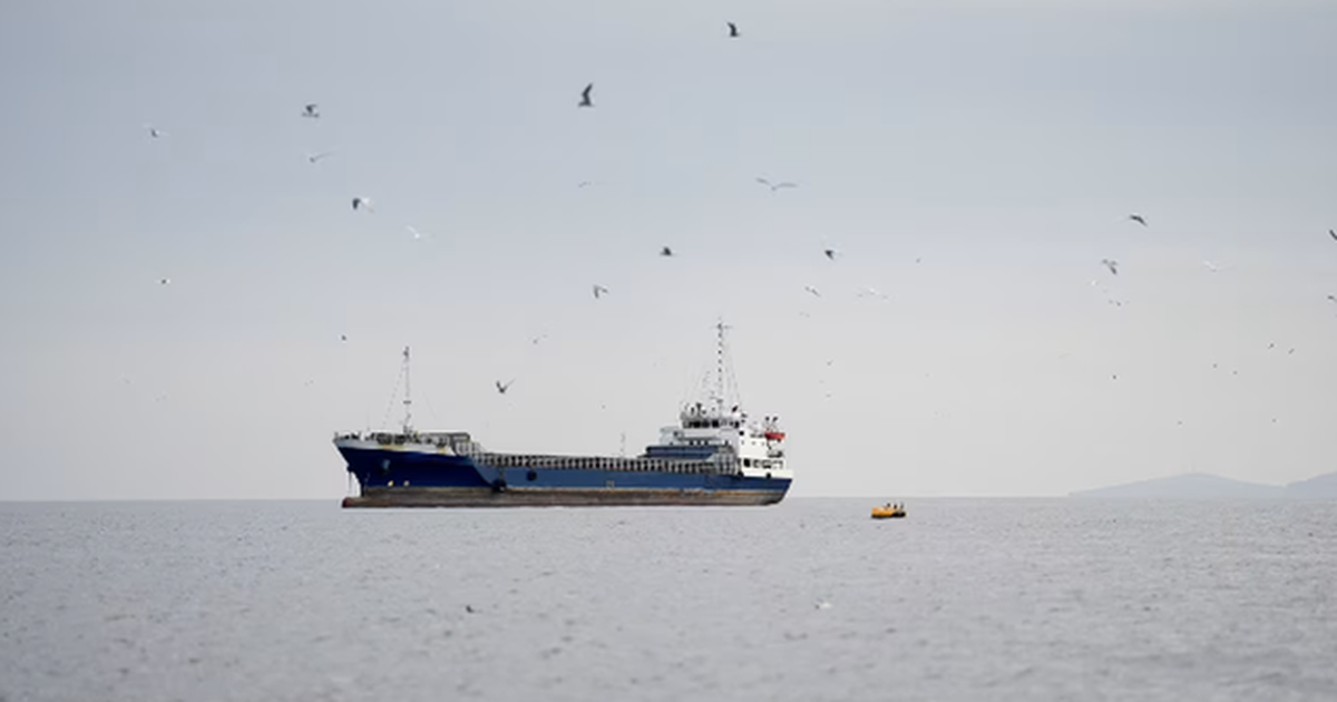 Çfarë vjen pas bllokadës së Trump 