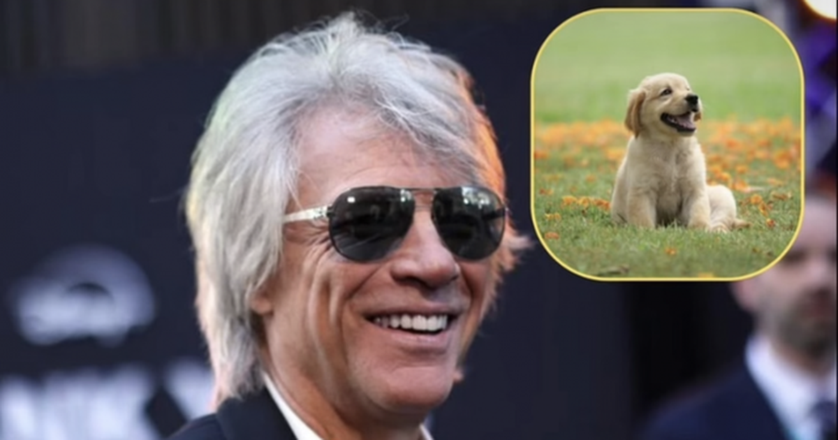 Jon Bon Jovi investon 5 milionë dollarë për shpëtimin e qenve endacakë në SHBA