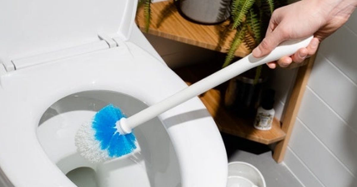 Mos e neglizhoni më  Ja çfarë dëmesh mund të sjellë furça e vjetër e tualetit në shëndetin tuaj