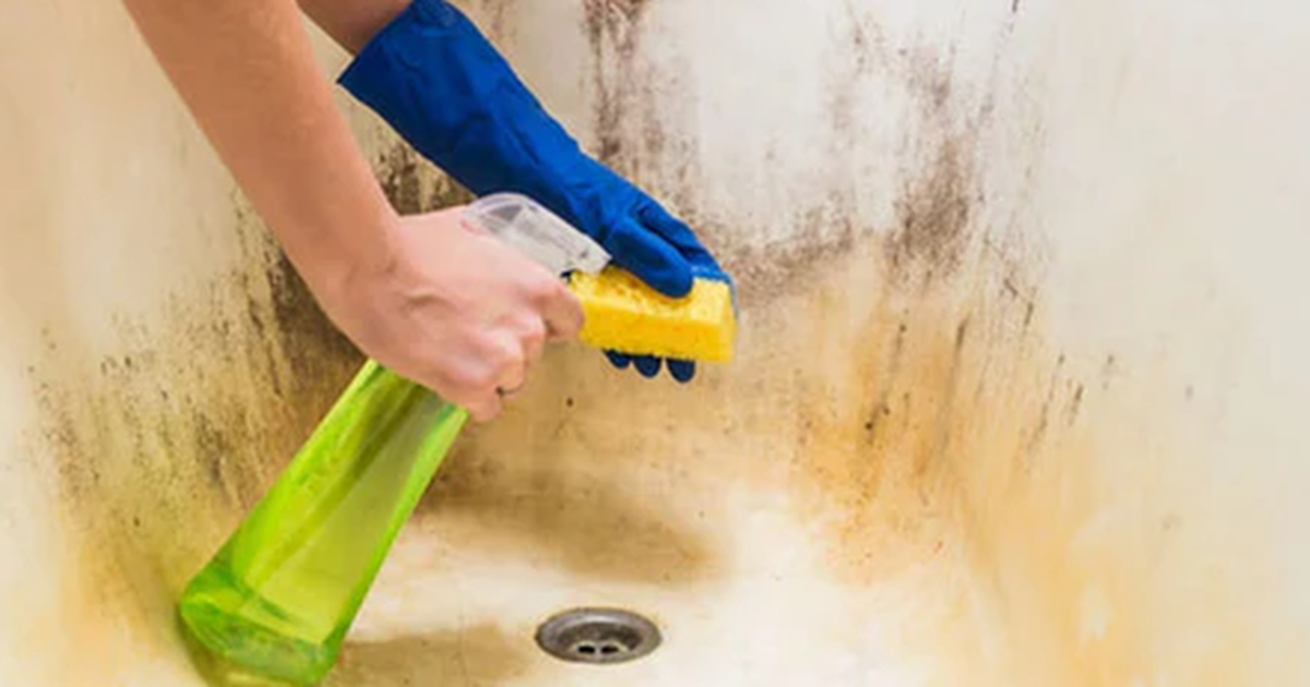 Harrojini kimikatet  Me vetëm dy përbërës largoni njollat më  kokëforta  nga vaska