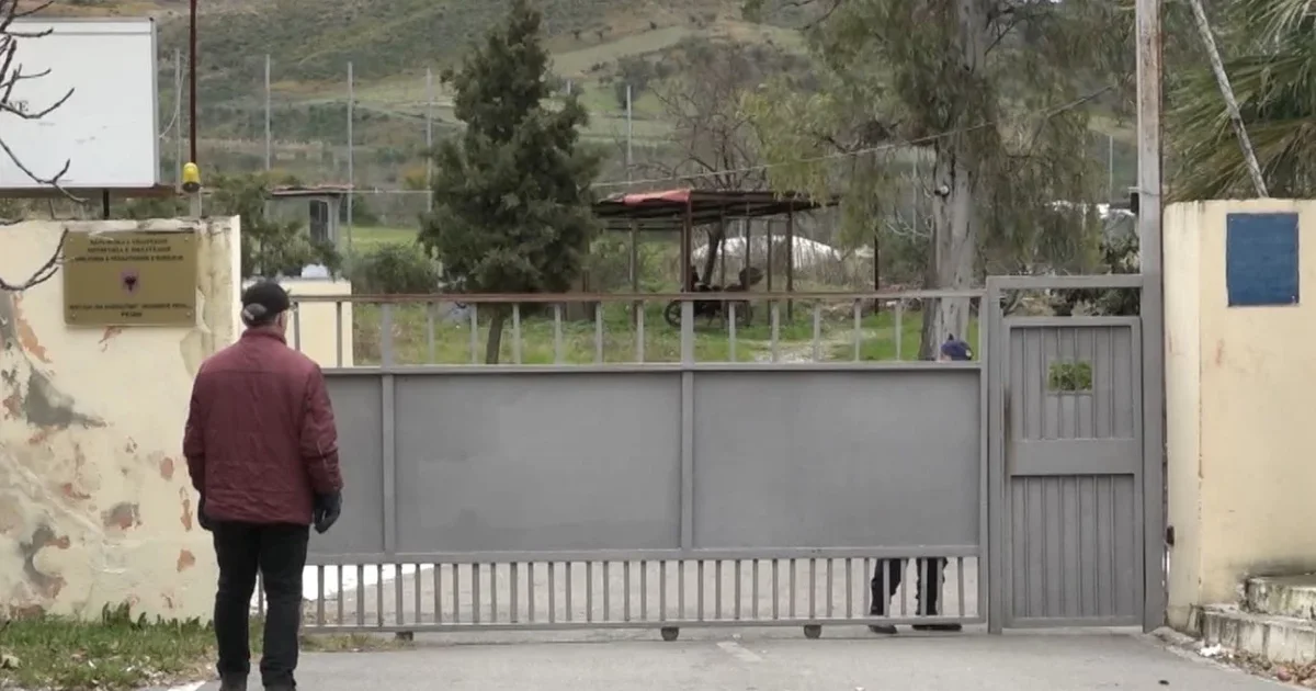 Kontrolli në burgun e Peqinit  gjenden disa doza kokaine  transferohen dy të burgosur të përjetshëm