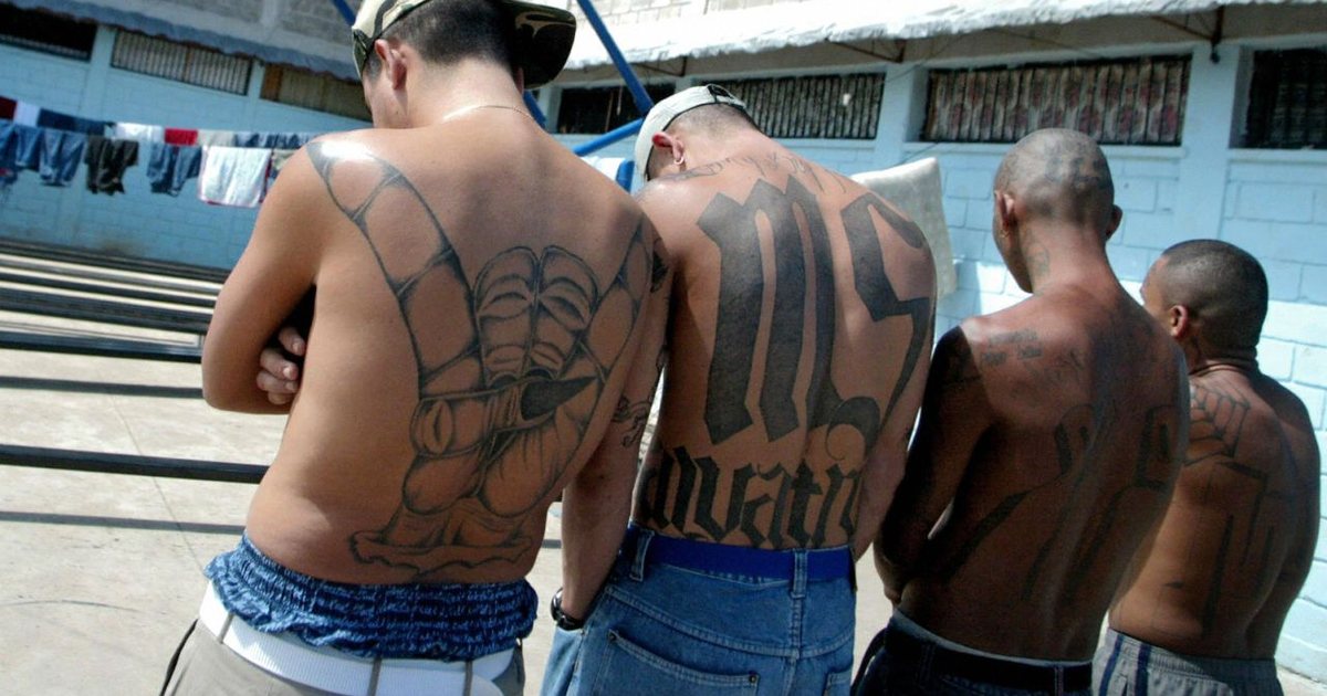 Nis gjyqi masiv ndaj 492 anëtarëve të dyshuar të bandës  MS 13  në El Salvador  akuzohen për mijëra krime