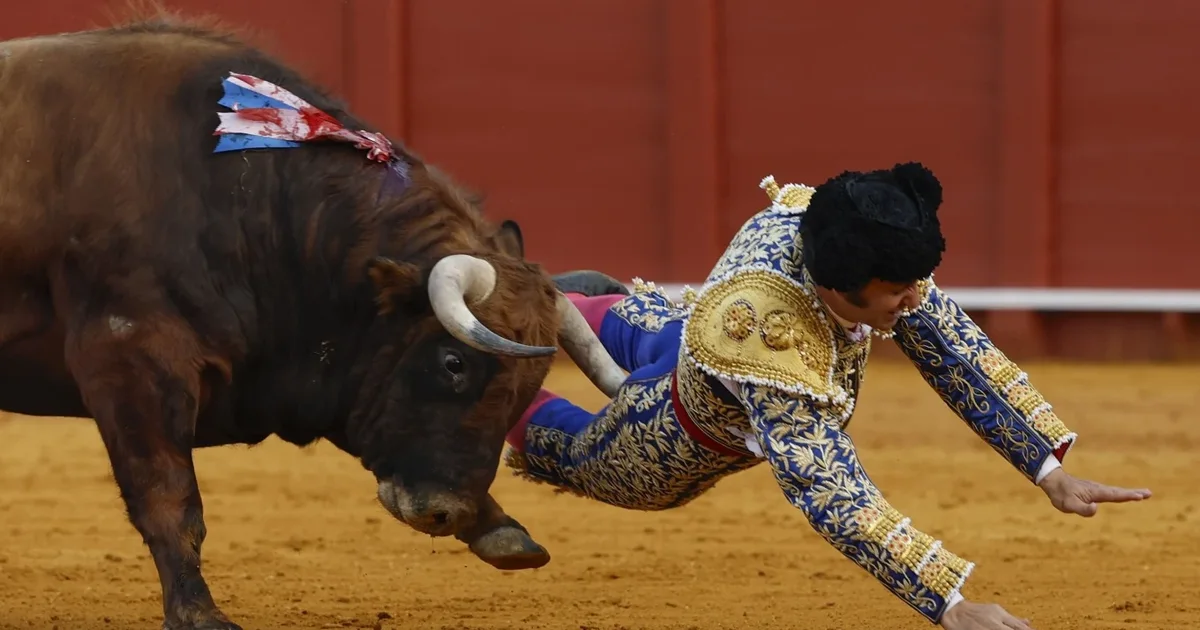 Plagoset rëndë  mbreti i toreadorëve   demi i shkaktoj një plagë 10 cm  ndeshja ndërpritet pas sulmit brutal