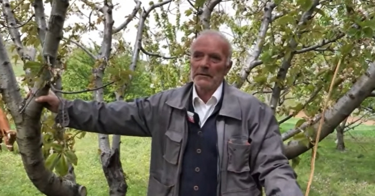  Gruaja bën ligjin   Osman Kaçuli rrëfen jetën me Selimen  50 vite bashkë  Fukarallëku na largoi 9 fëmijët