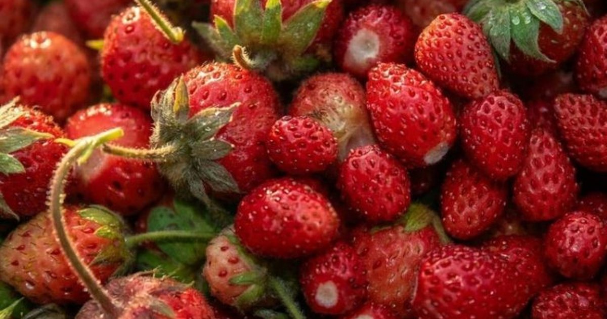 3 këshilla për të ulur konsumin e sheqerit dhe për të qetësuar sistemin nervor