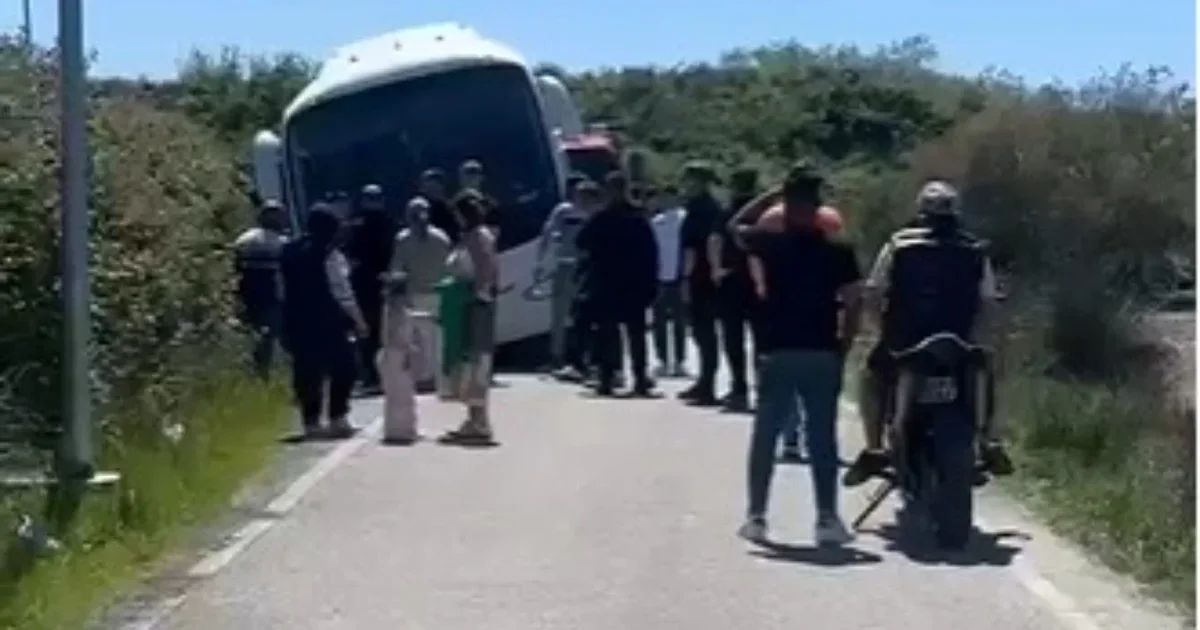 Aksident në Vlorë  autobusi me nxënës del nga rruga  shtylla anësore  e pret  duke shmangur pasojat
