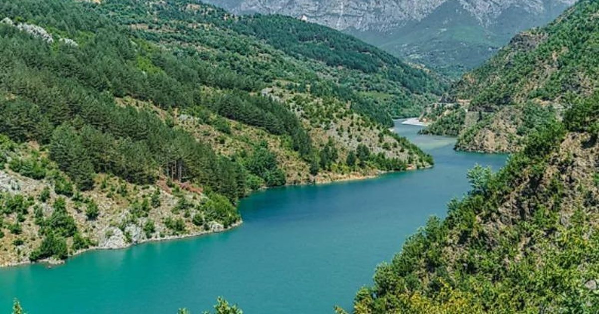 Reuters  Lumi Drin shpëton Shqipërinë nga kriza globale