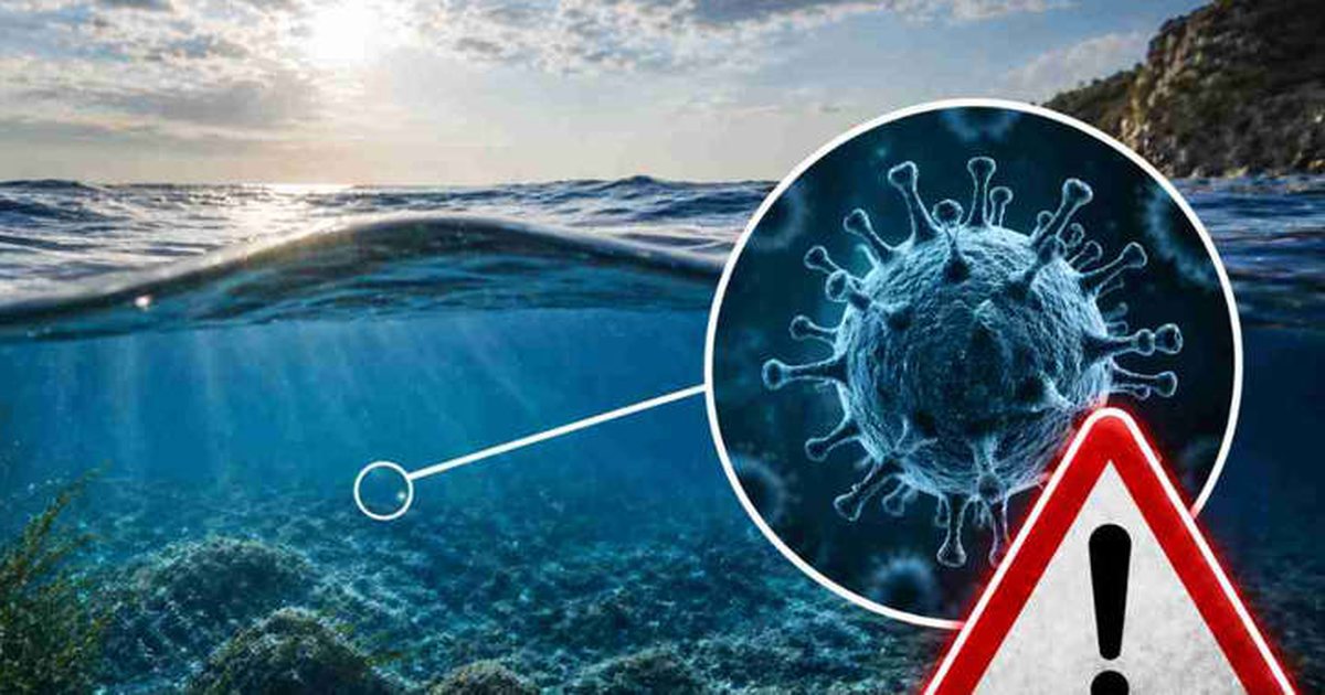 Virus i ri që përhapet në ujë  kujdes nga sytë  paralajmërim për verën e vitit 2026