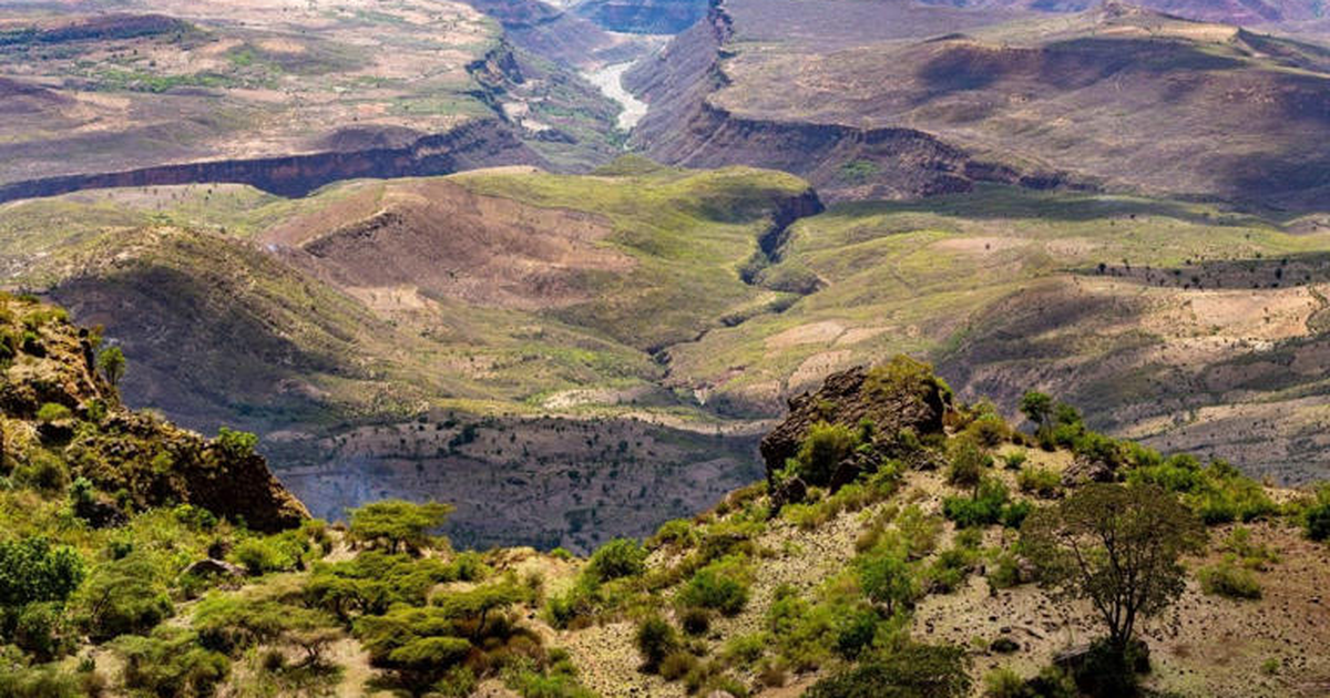  Afrika po ndahet në dysh  shkencëtarët zbulojnë një nga zonat më kritike të këtij procesi gjeologjik