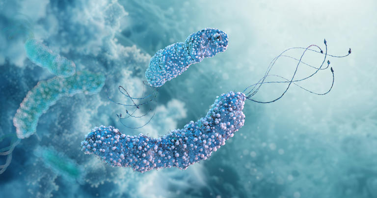 Infeksioni nga Helicobacter pylori çfarë është  si njihet dhe sa mund të jetë i rrezikshëm