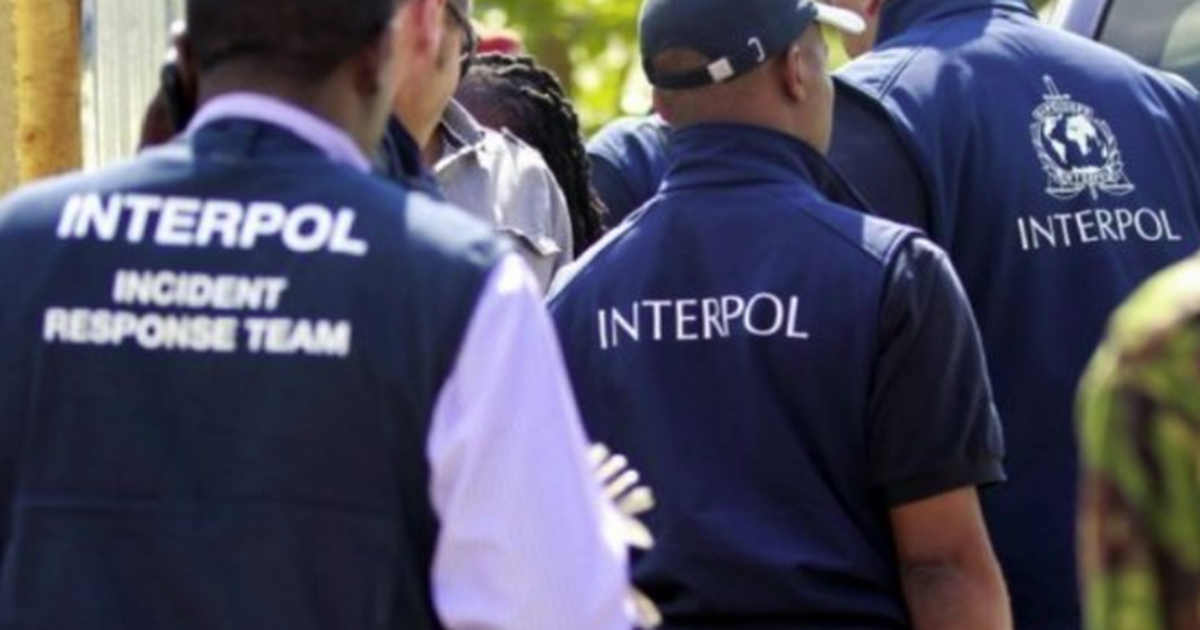 Operacion global kundër ilaçeve të falsifikuara  Interpoli sekuestron mbi 6 4 milionë doza në 90 vende