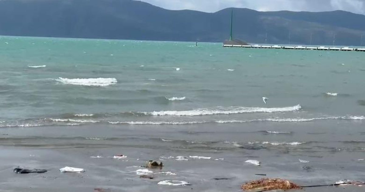 Çfarë po ndodh  Kapiteneria e Portit Vlorë ndalon lundrimin për anijet e vogla