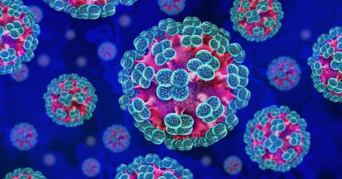 Ja në cilin vit u identifikua Hantavirusi në Shqipëri   rasti u publikua në revistën prestigjioze mjekësore  The Lancet 
