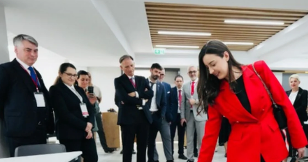  E ardhmja është këtu   Zegjinesë i  mërzitet  posti i deputetes  socialistja teston robotët