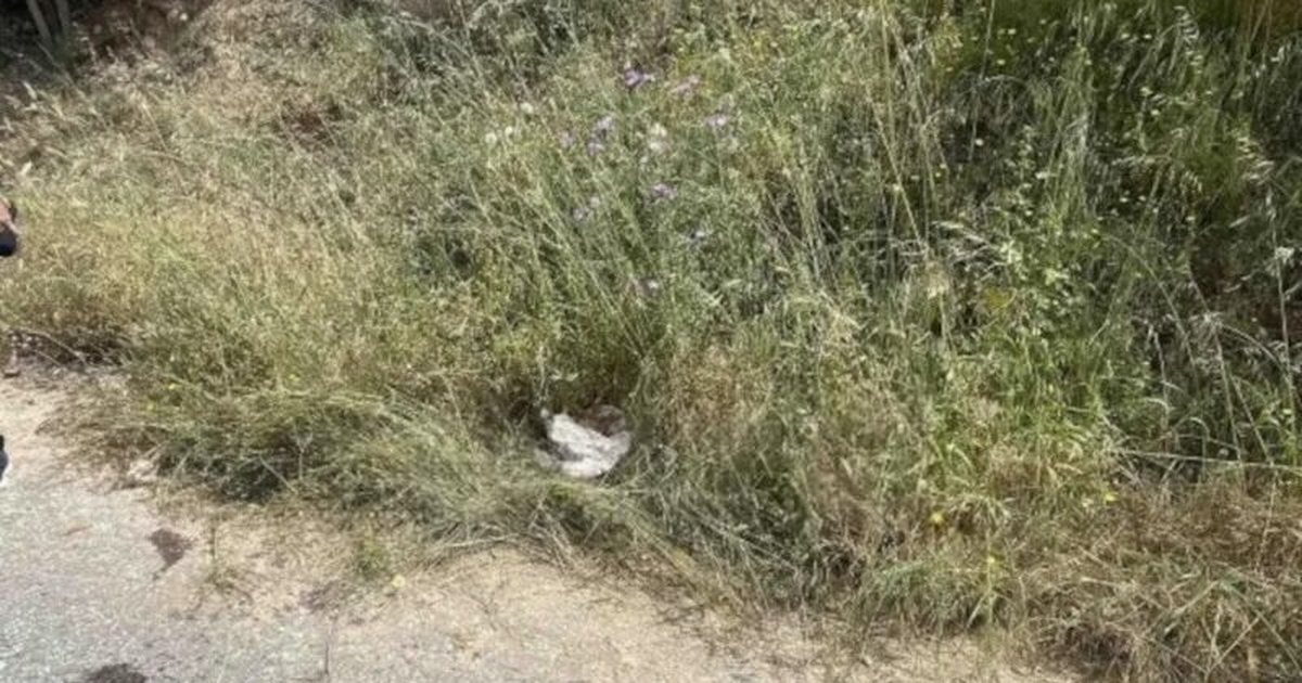  U grindëm   hodhi gruan nga makina në lëvizje  flet 30 vjeçari  Isha shumë i nervozuar  u përplasa për shkak të  