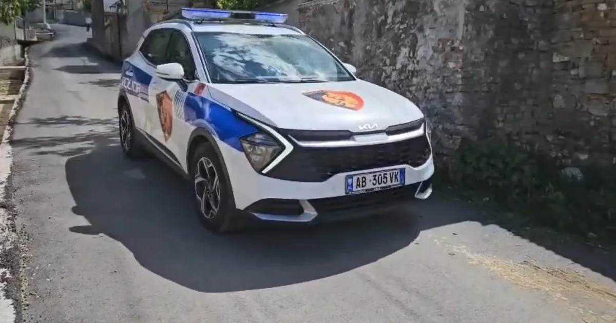 Plagosja e policit  dy vëllezër të dyshuar si autorë  Efektivi për fqinjin që ishte i shoqëruar  Jemi shok fëmijërie