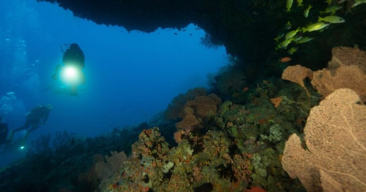 Maldive  zhytësit finlandezë i bashkohen kërkimeve për gjetjen e trupave të turistëve italianë