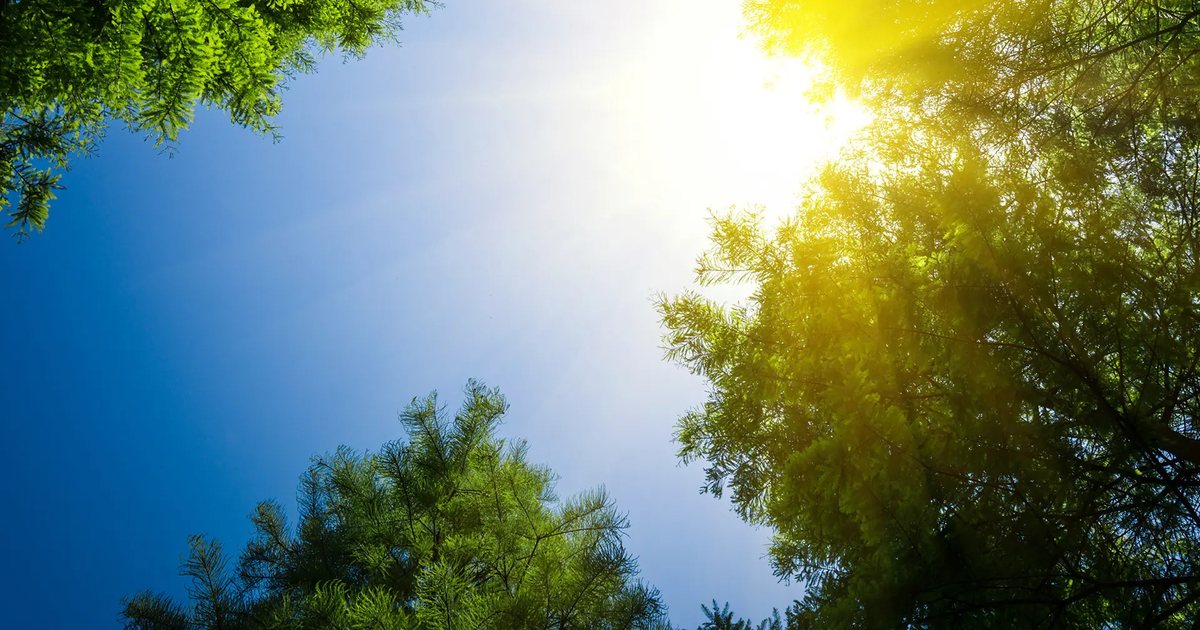 Vera  troket   Parashikimi i motit për ditën e nesërme  ja sa do arrijnë temperaturat