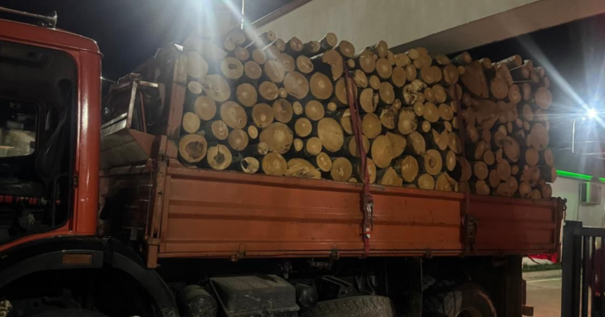 IKMT bllokon 3 automjete me lëndë drusore në Prekal të Shkodrës