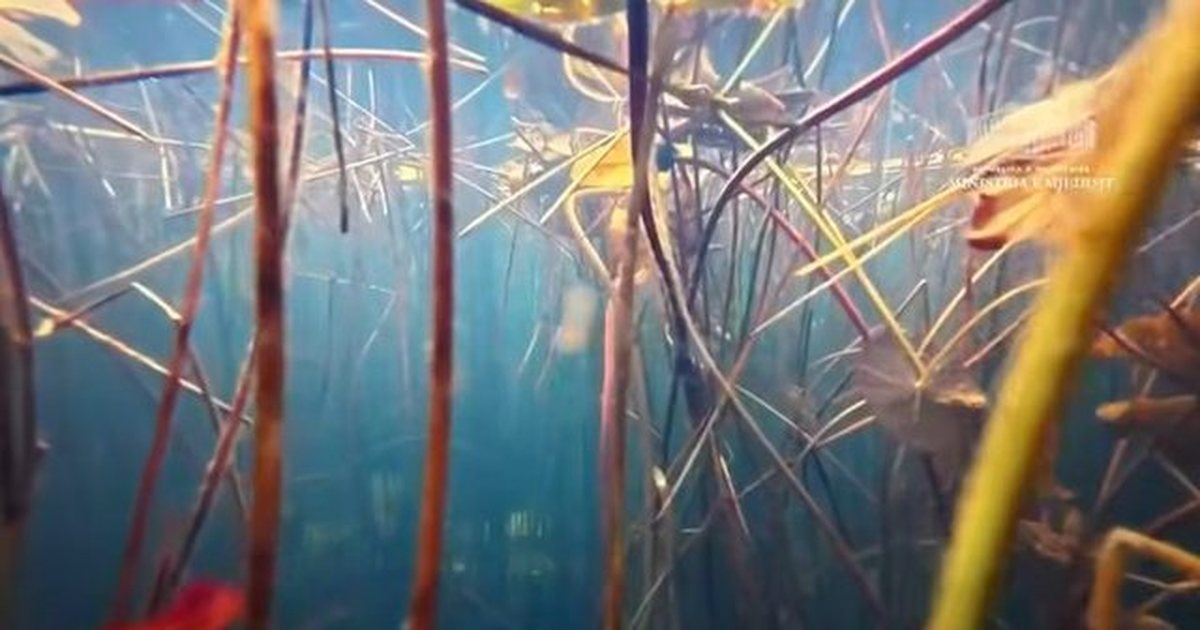 VIDEO  Pamje nga Parku Kombëtar Lurë Mali i Dejës   Një nga thesaret më të bukura natyrore të Shqipërisë 