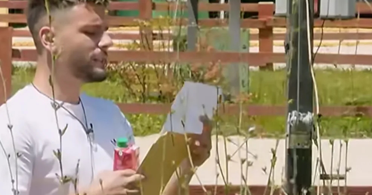 Zarf në fermë  Iliri dhe Zhaku thyejnë rregullat e izolimit  Agai vendos për fatin e dy konkurrentëve