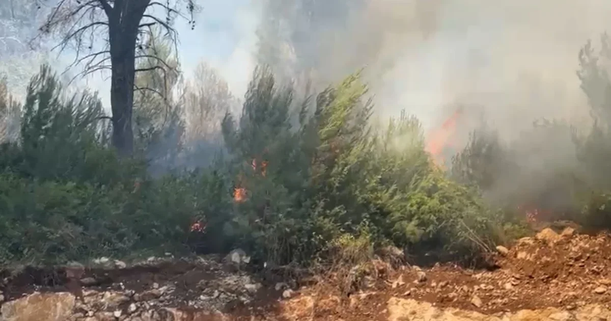 Zjarr pranë Ranës së Hedhun në Shëngjin  zona me pisha përfshihet nga flakët
