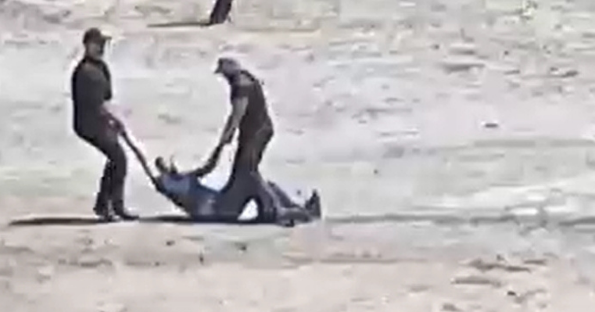 Dhunoi dhe mori zvarrë protestuesin në Zvërnec  arrestohet roja private  VIDEO 