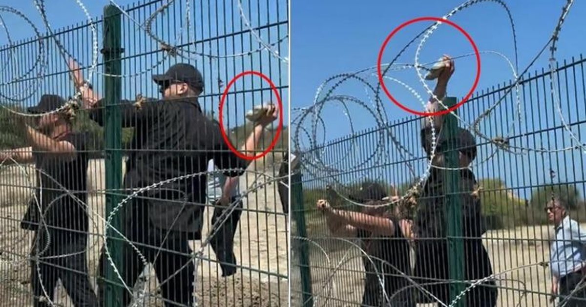 Goditën me grusht e gurë dhe tërhoqën zvarrë protestuesin në Zvërnec  prokuroria kërkon arrestimin e rojeve të  Major Security 