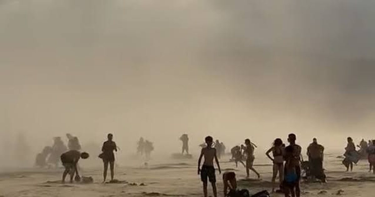 Reja gjigante mbuloi plazhin në Francë  pas spektaklit mbresëlënës fshihet fenomeni i njohur si     VIDEO 
