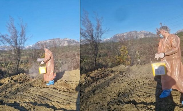 Zbulohet një vatër e re në Tiranë, gripi i shpendëve