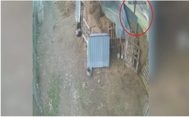 VIDEO/ Ishin duke luajtur, dalin pamjet nga shembja e objektit që i mori