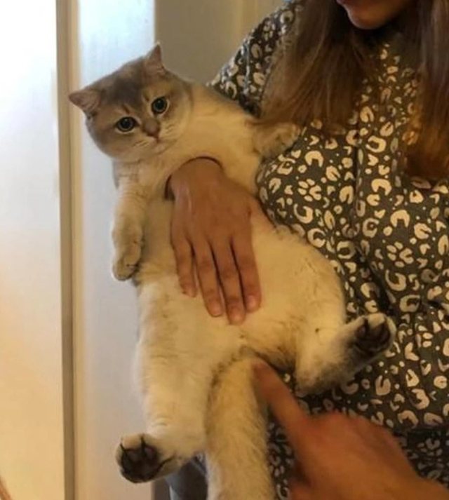 Foto konfuze që tregojnë se koha është gjithçka!