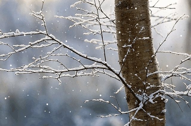 Temperaturat deri -3°C! Reshje dëbore dhe shiu, si parashikohet moti