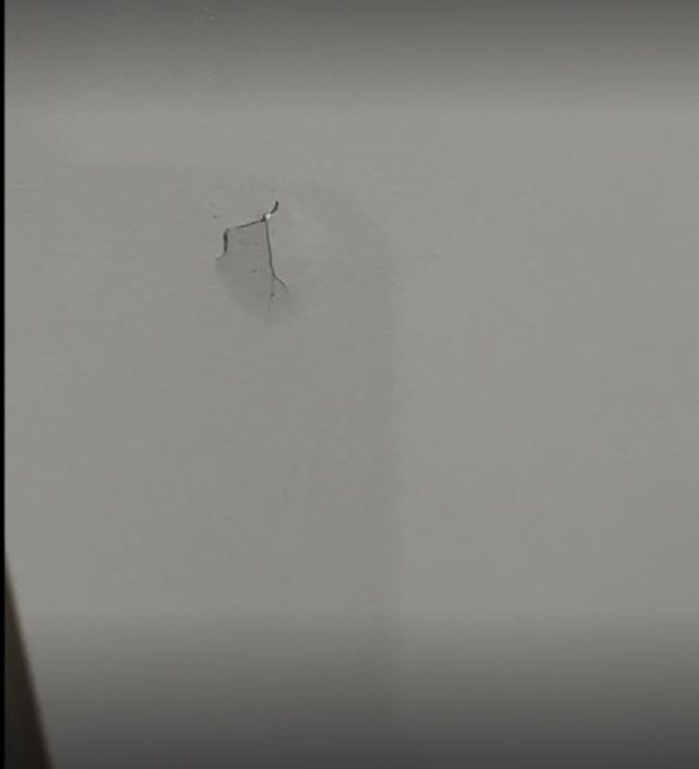 Qytetarja bleu dollapin në Megatek, e papritur cfarë i ndodhi një