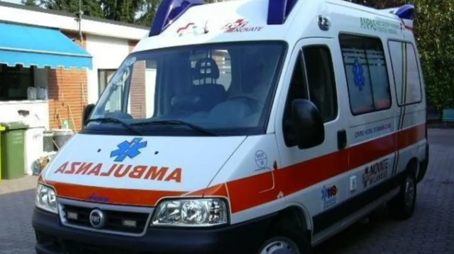 Tentoi të grabiste bagëtitë në Lushnjë, hajduti plagos