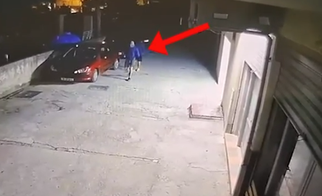 Zbardhen dy raste vjedhjesh, ndalohen dy të rinj me precedent penal